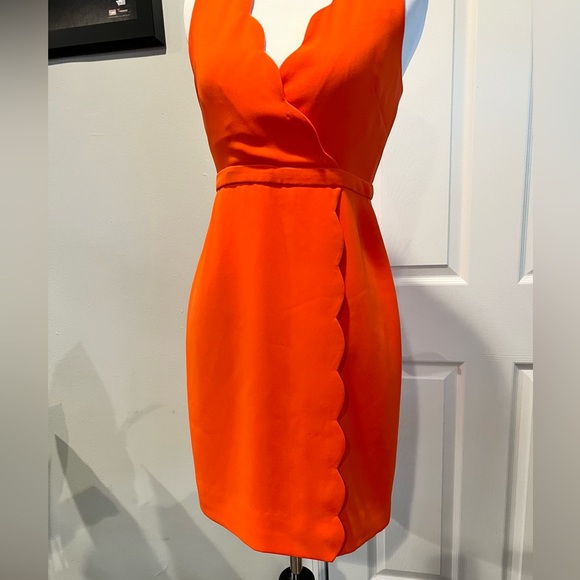 J.Crew Scallops Dress - Picture 4 of 4